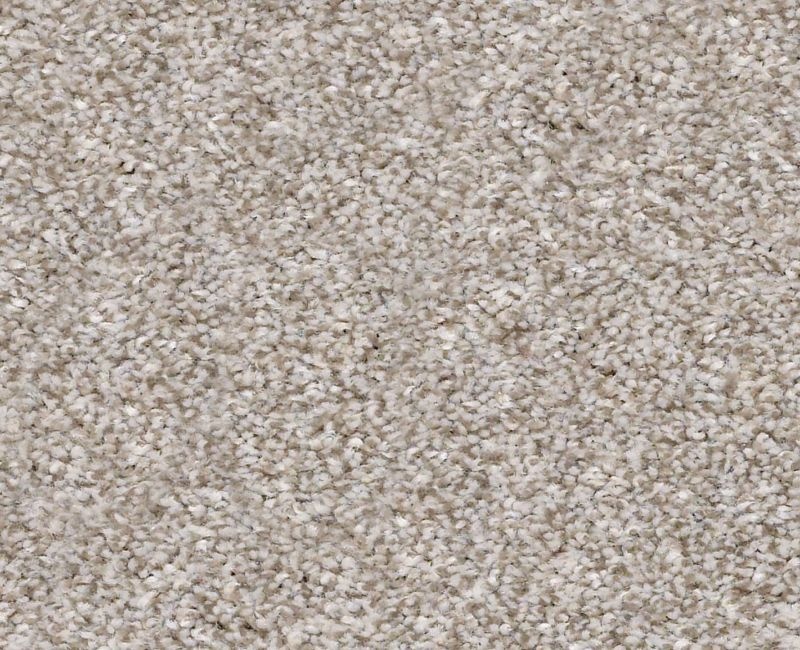 Mine To Keep I Winter Dunes Polyester Carpet - Textured