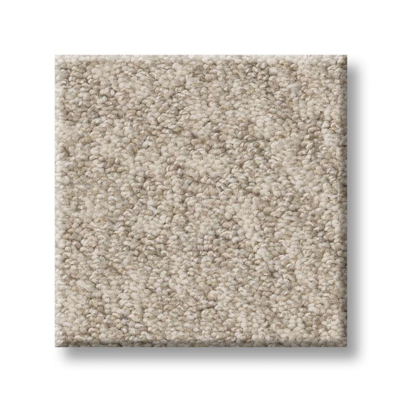 Foundations Alluring Canvas Sandstone Nylon Carpet - Pattern