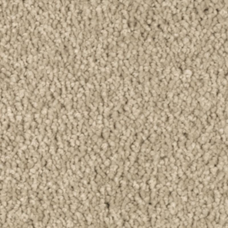 Natural Splendor I Raffia Basket Triexta Carpet - Textured