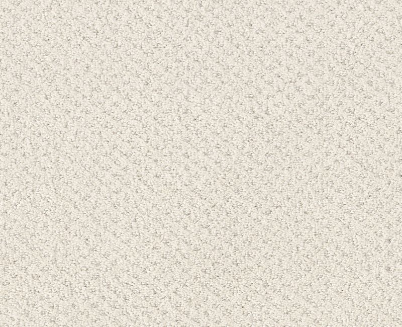 Main Squeeze Serene Still Nylon Carpet - Textured