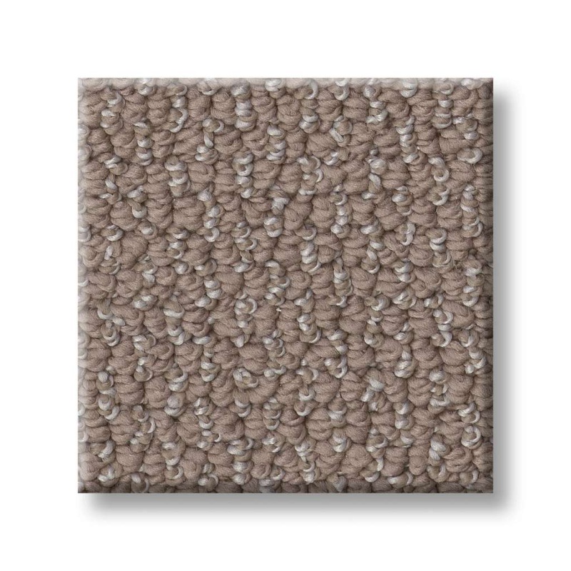 Simply The Best Embellished Chestnut Polyester Carpet - Loop