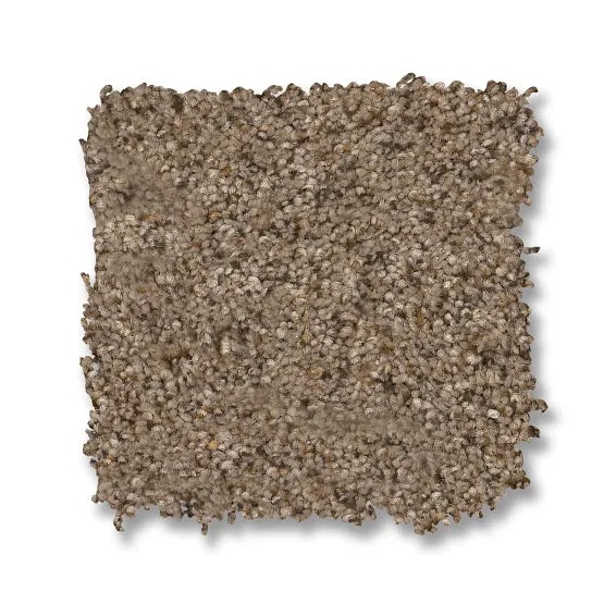 Reawaken Topanga Canyon Bungalow Nylon Carpet - Textured