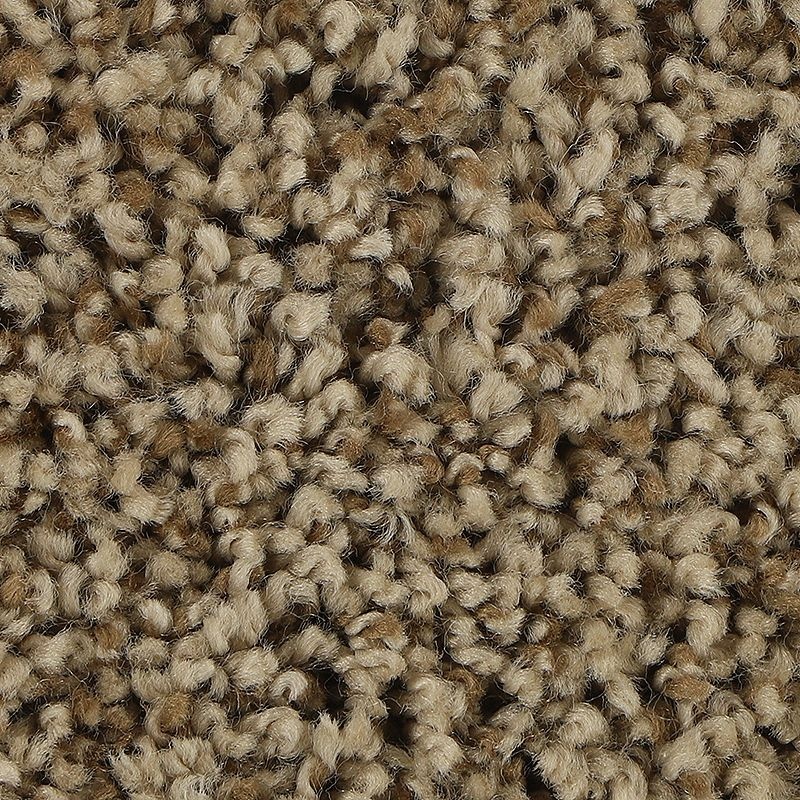 Soft Aspect Warm Sky Polyester Carpet - Textured