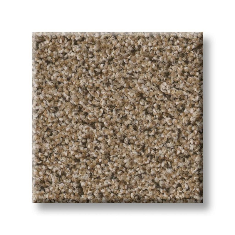 Foundations Elemental Mix I Bridle Leather Nylon Carpet - Textured