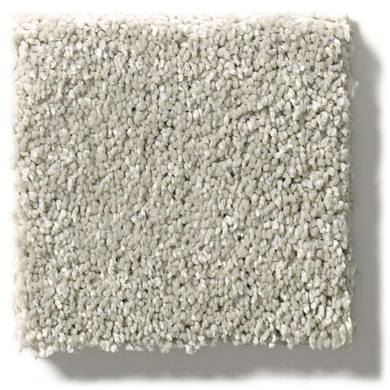 Pet Perfect Plus Basic Rules Platinum Polyester Carpet - Textured