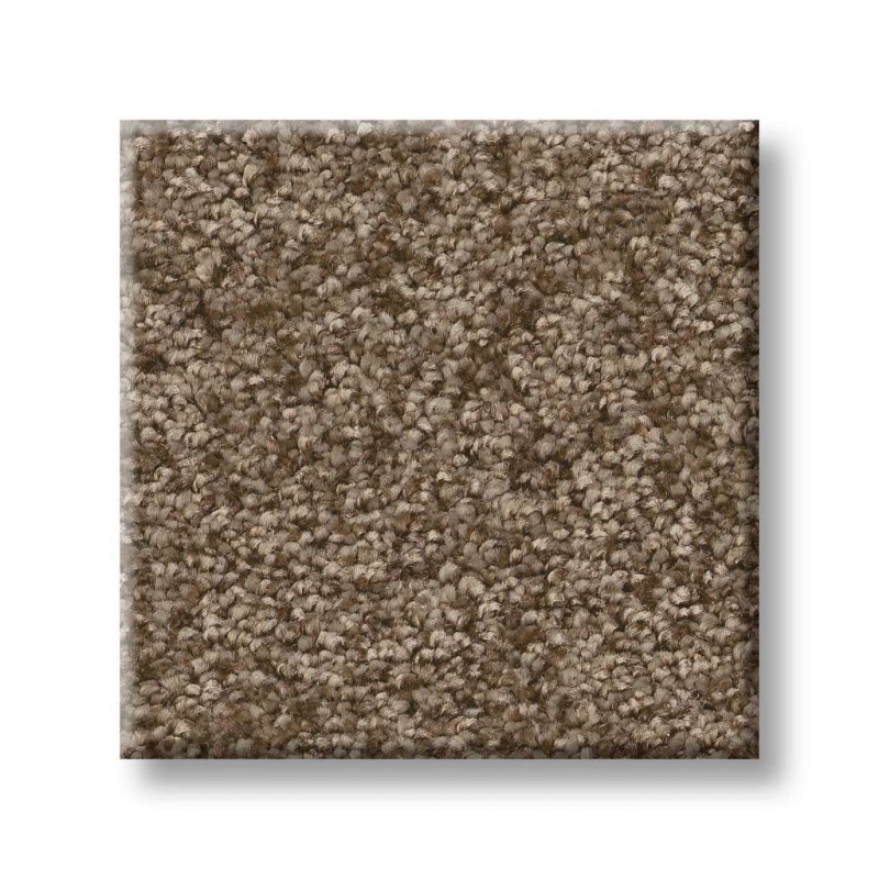 Pet Perfect You Got This II Mission Ridge Textured Polyester Carpet