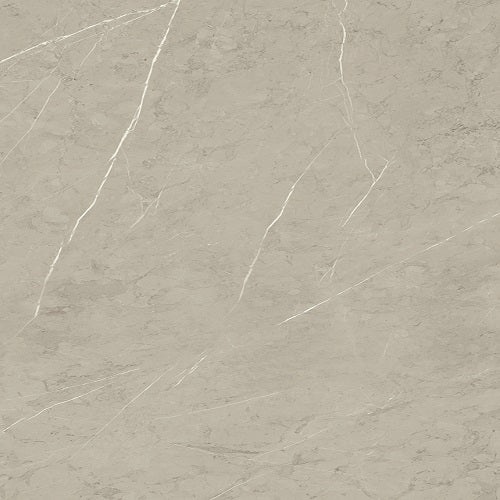 Piasentina Silver Porcelain Tile - Polished
