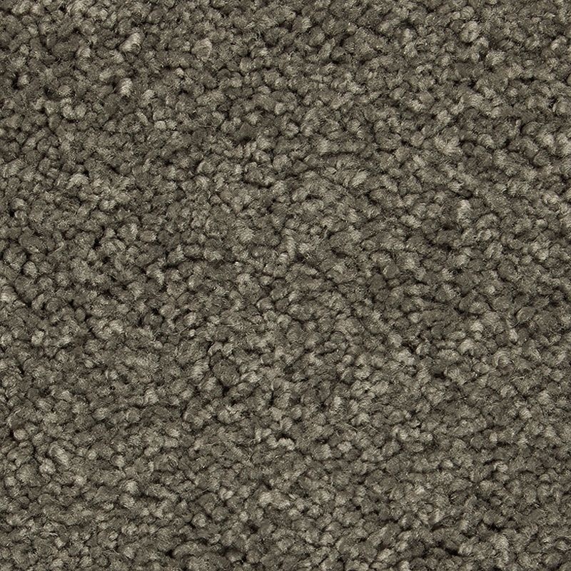 Gentle Approach Legendary Triexta Carpet - Textured