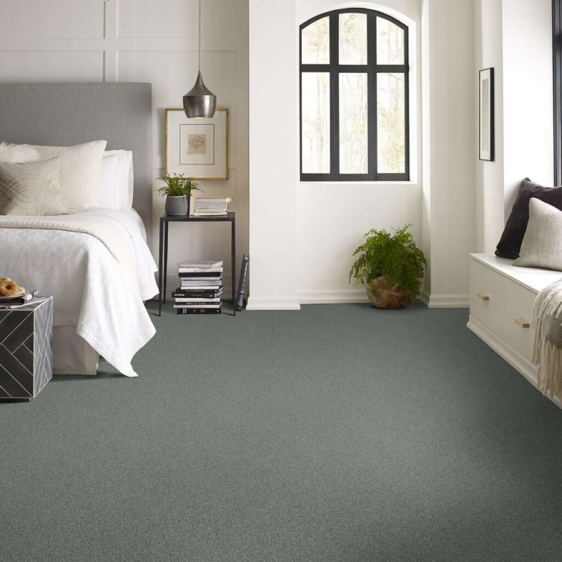 Soft Shades My Choice I Silver Sage Nylon Carpet - Textured
