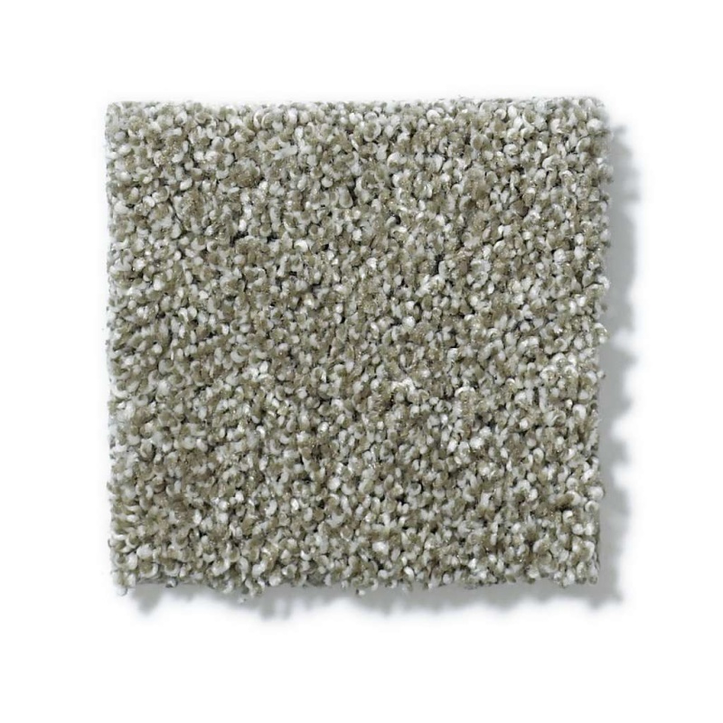 Picturesque Silver Sage Nylon Carpet - Textured