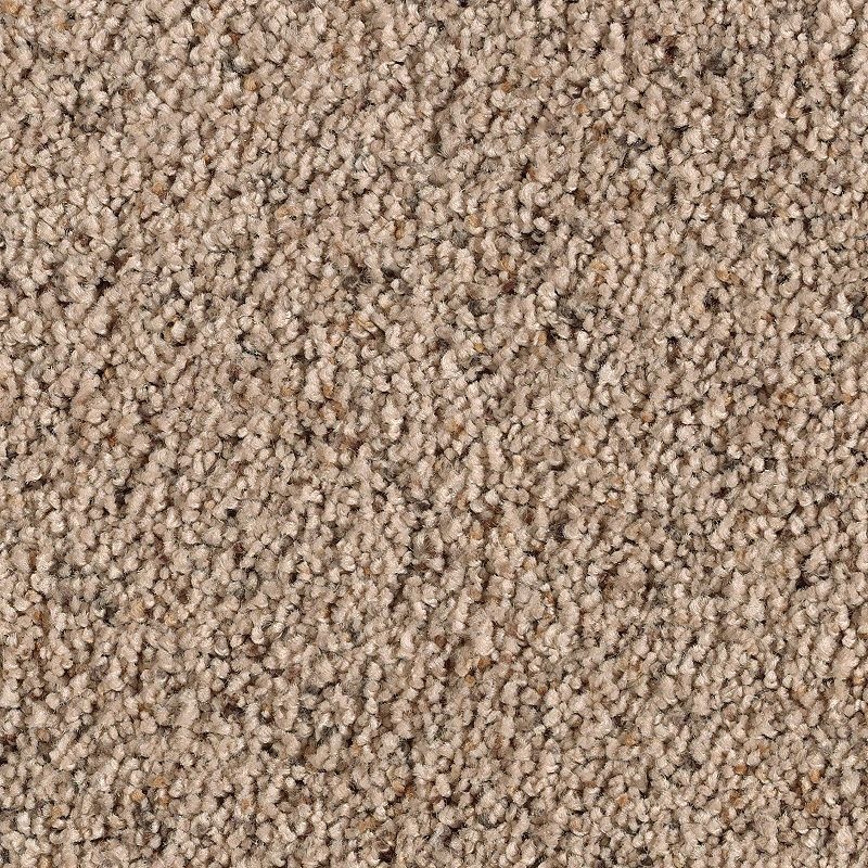 Naturally Soft I Cliffside Polyester Carpet - Textured