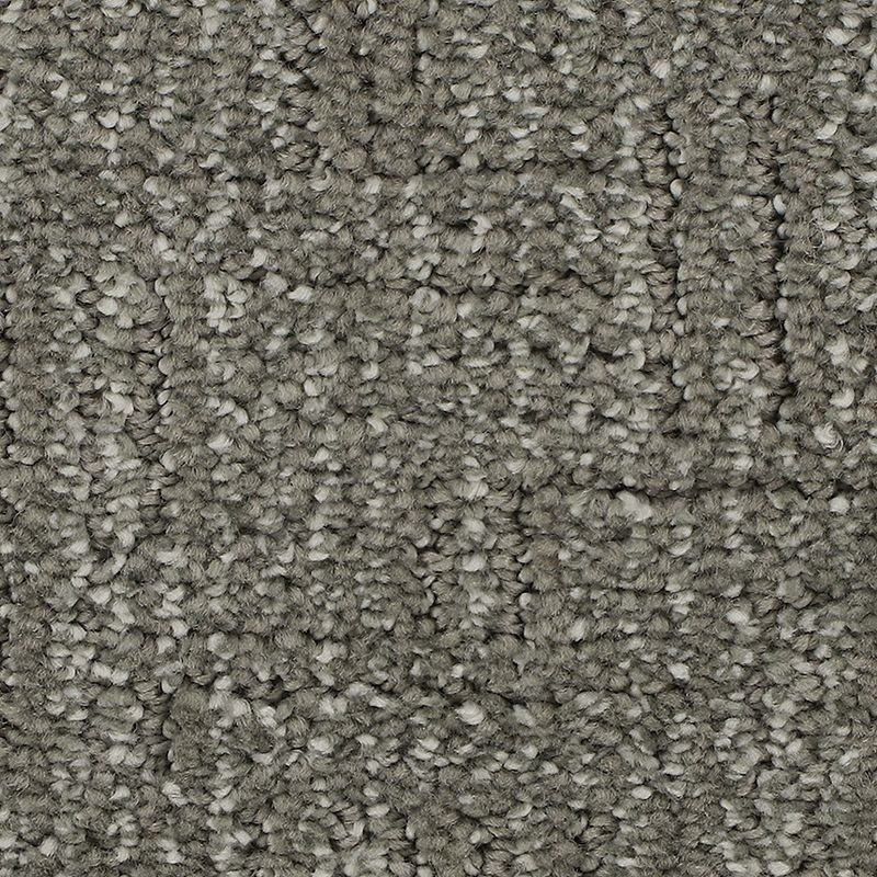 Natural Texture Soft Smoke Triexta Carpet - Pattern