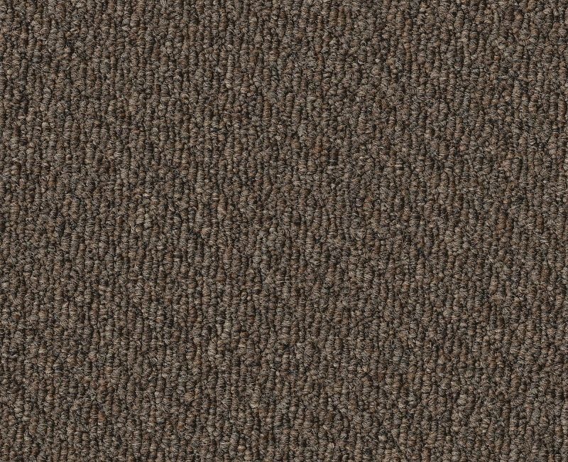 Clearance Sale! Prospect Dark Brown Nylon Carpet - Textured