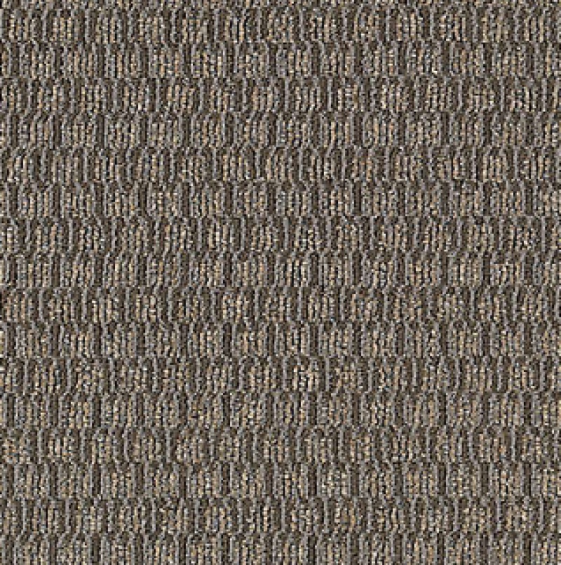 Intuitive Smart And Sharp Think Smart Nylon Carpet - Loop