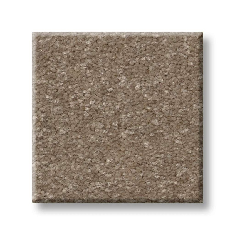 Pet Perfect Hard At Play I 15' Cameo Polyester Carpet