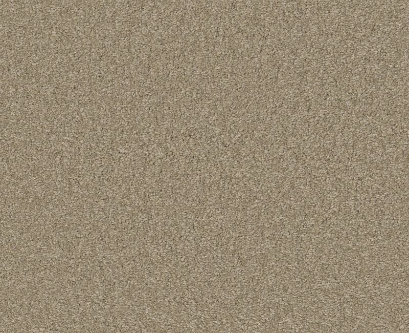Magic Happens PV IV Balanced Beige Nylon Carpet