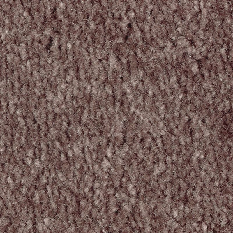 Homefront Iii Flora Triexta Carpet - Textured