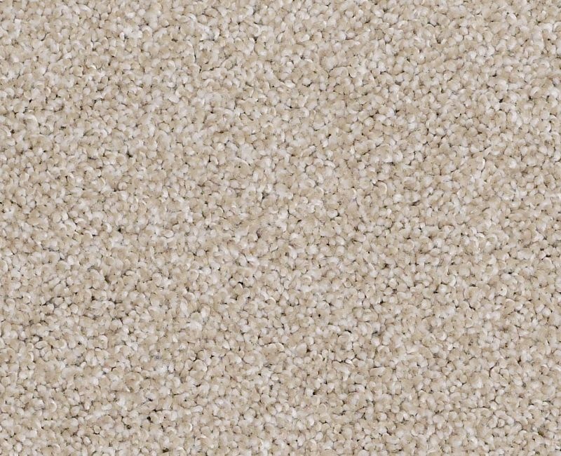 Always On Time Balanced Beige Nylon Carpet