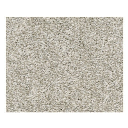 Rincon Oatmeal Nylon Carpet - Textured