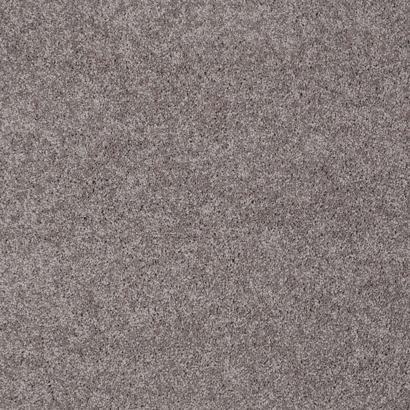 Soft Shades My Choice Ii Sepia Nylon Carpet - Textured
