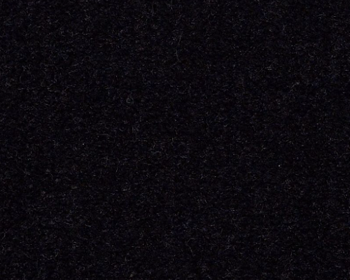 Emphatic Ii 30 Locomotive Nylon Carpet - Textured