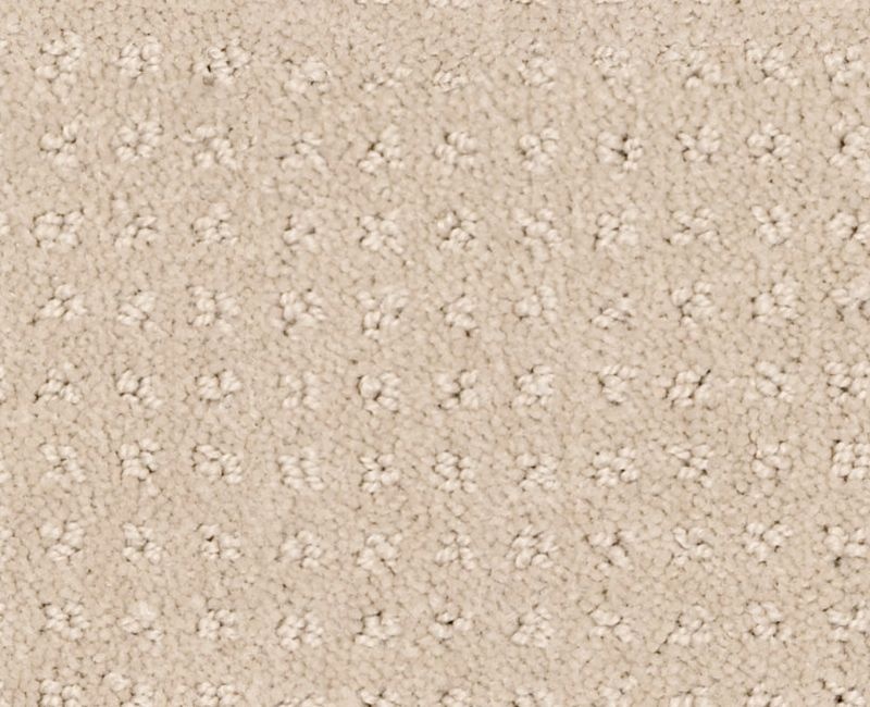 Detailed Elegance Pattern Bare Essence Nylon Carpet