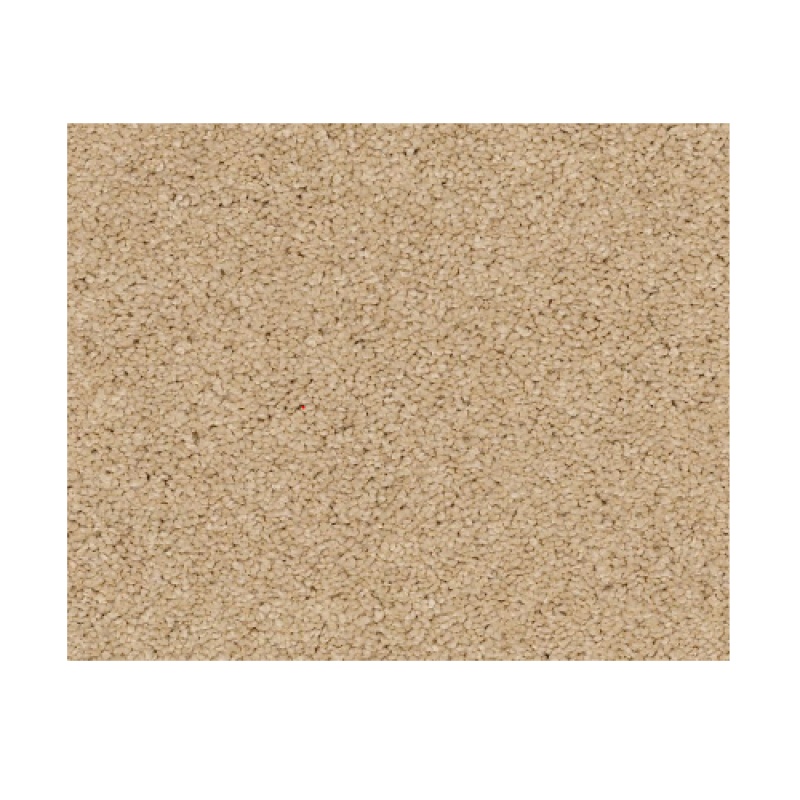 Castle Pv Ii Manilla Nylon Carpet - Textured