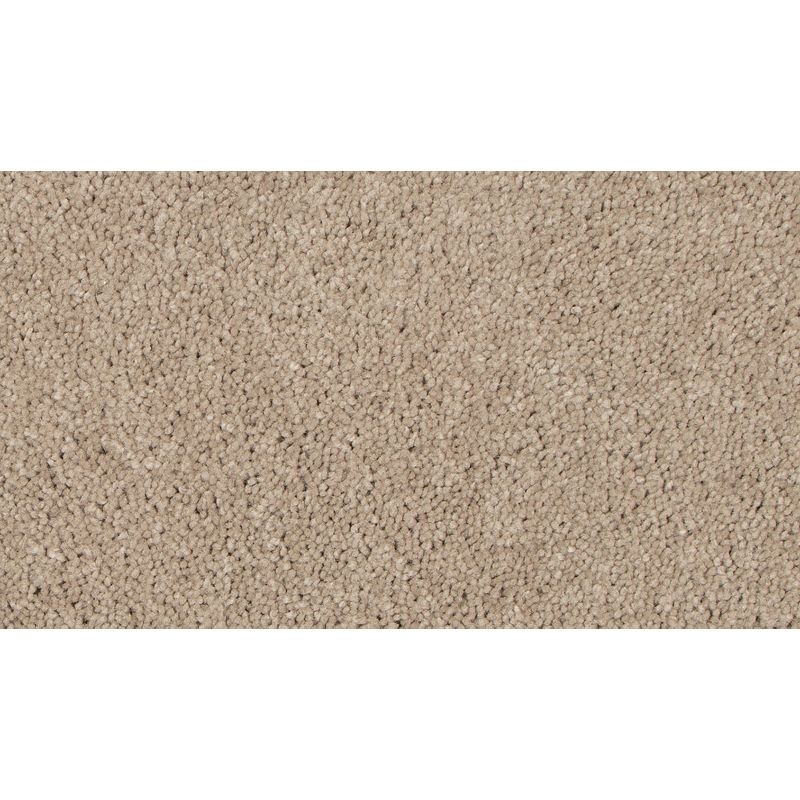 Tender Moment Ii Bleached Almond Triexta Carpet - Textured