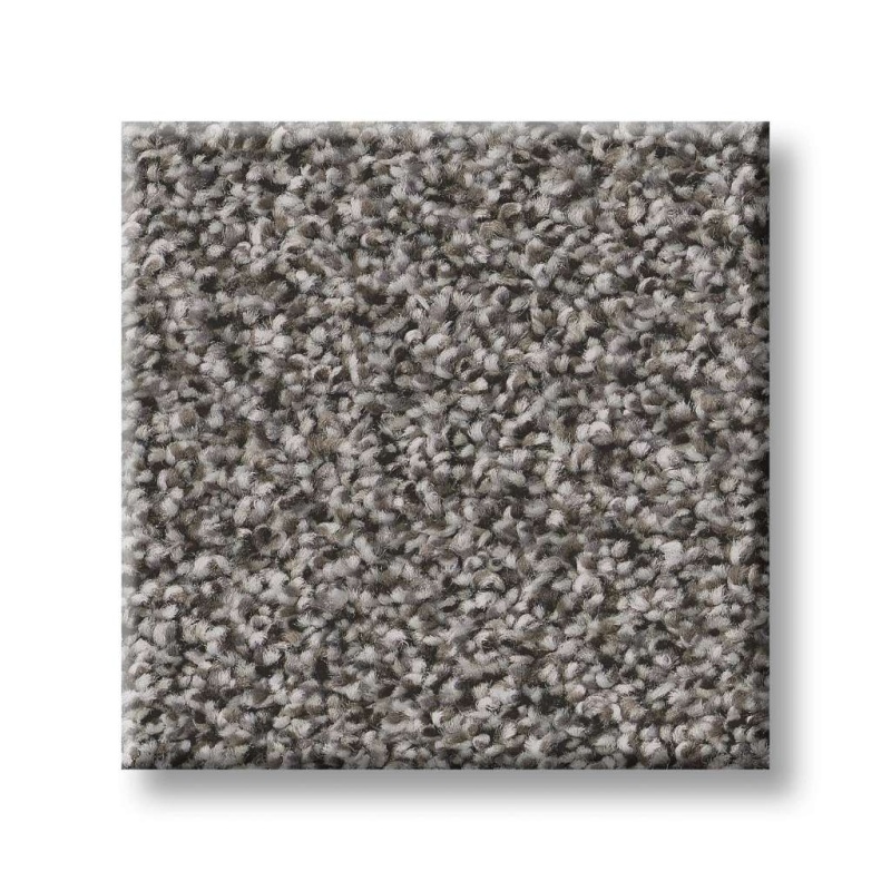 Simply The Best Values Truspirit I Quarry Polyester Carpet - Textured