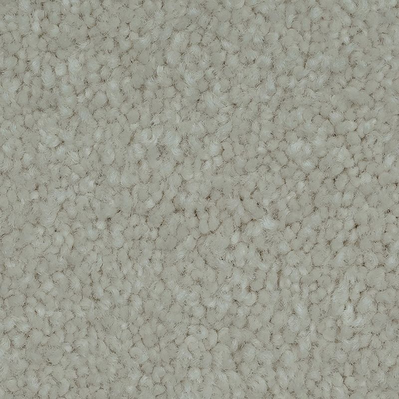 Blended Moments Dune Nylon Carpet - Textured