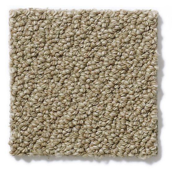 Pet Perfect On Point Suede Nylon Carpet - Loop
