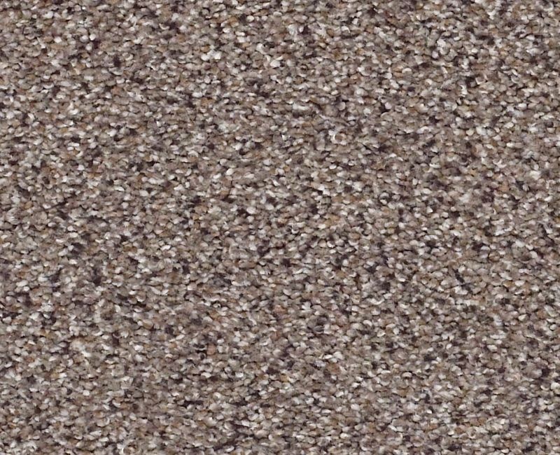 Color Express Accent I Storm Nylon Carpet - Loop