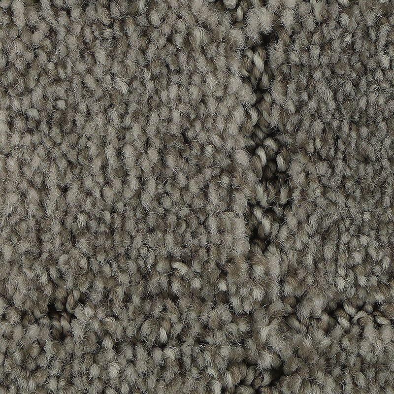 Elaborate Appeal Boulevard Polyester Carpet - Pattern