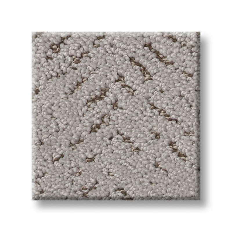 Pet Perfect Favoured Path Gravity Polyester Carpet