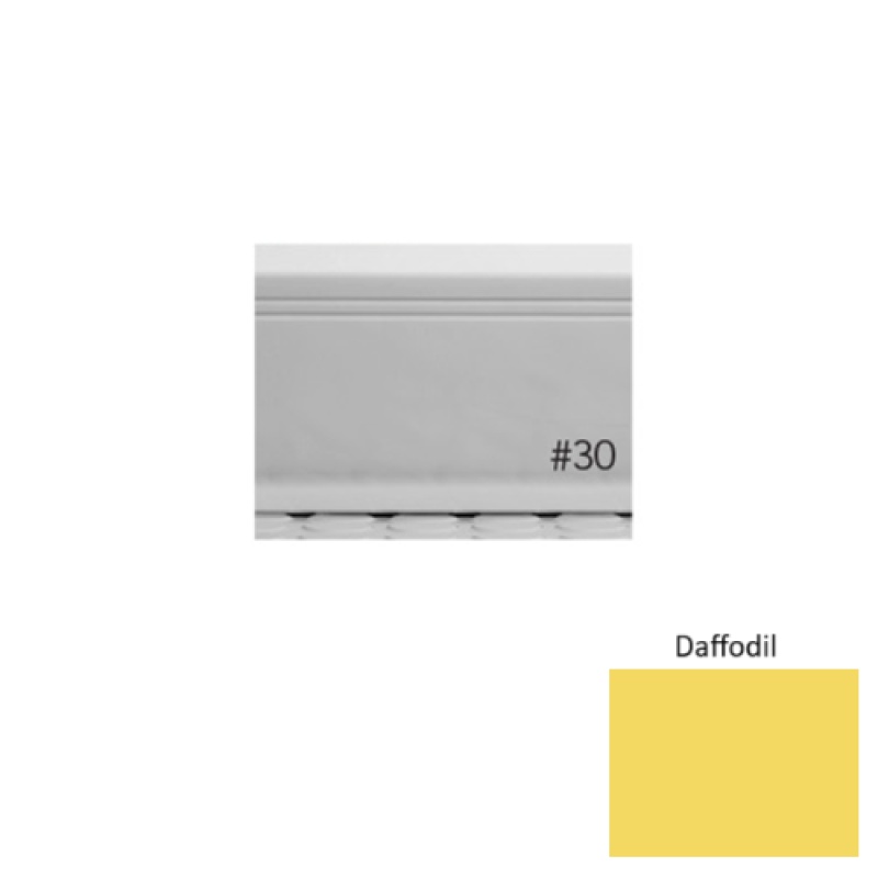 Pinnacle Plus #30 Sketch Daffodil Rubber Coil Wall Base 4" x 120 Ft