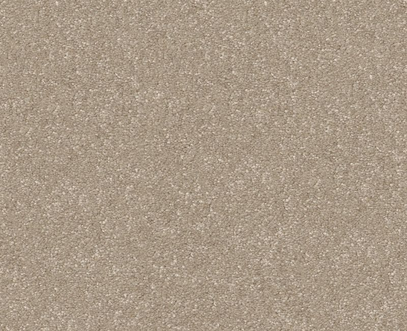 Pet Perfect Hard At Play II 15' Subtle Clay Polyester Carpet