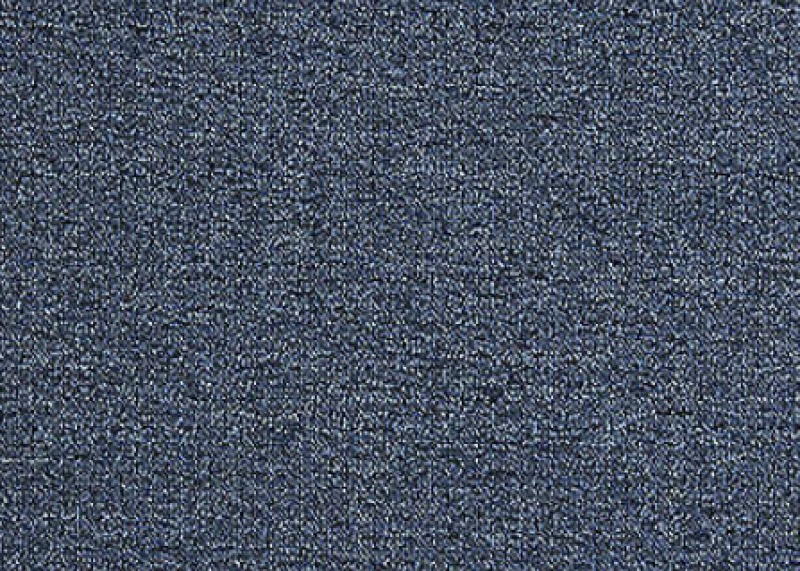 Scholarship Ii 20 Blue Ribbon Nylon Carpet - Loop