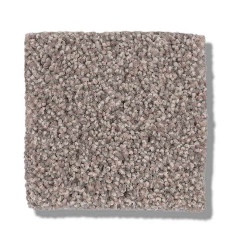 Caress By Shaw Cozy Harbor I Stucco Nylon Carpet
