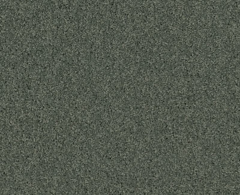 Detailed Elegance II Bay Laurel Nylon Loop Carpet