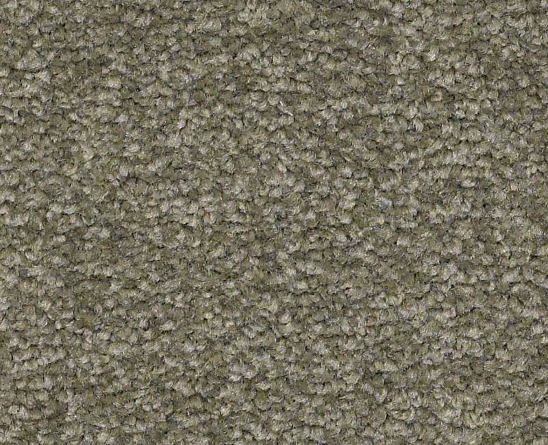 Magic Happens Pv I Garden Spot Nylon Carpet - Textured
