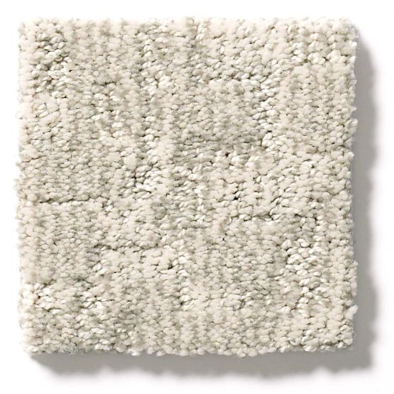 Pet Perfect Paw Tay Bennington Nylon Carpet