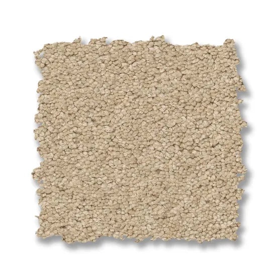 Enduring Charm Papyrus Nylon Carpet - Textured