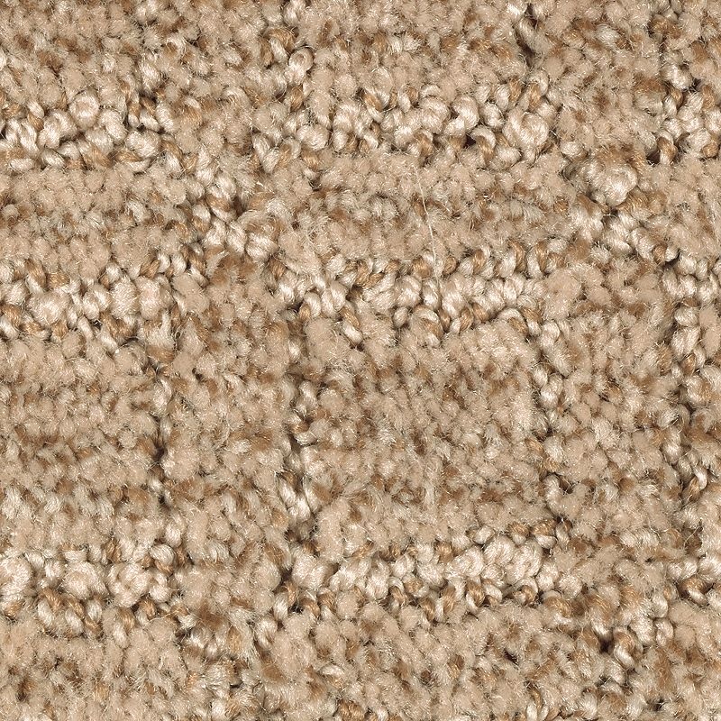 Refined Interest Pecan Delight Polyester Carpet