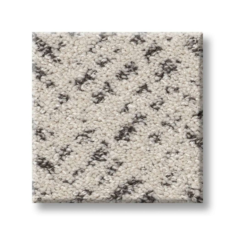 Pet Perfect Favoured Path Marble Polyester Carpet - Pattern