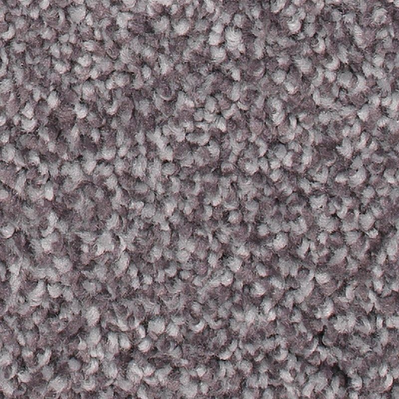 Soft Comfort Gypsy Polyester Carpet - Textured