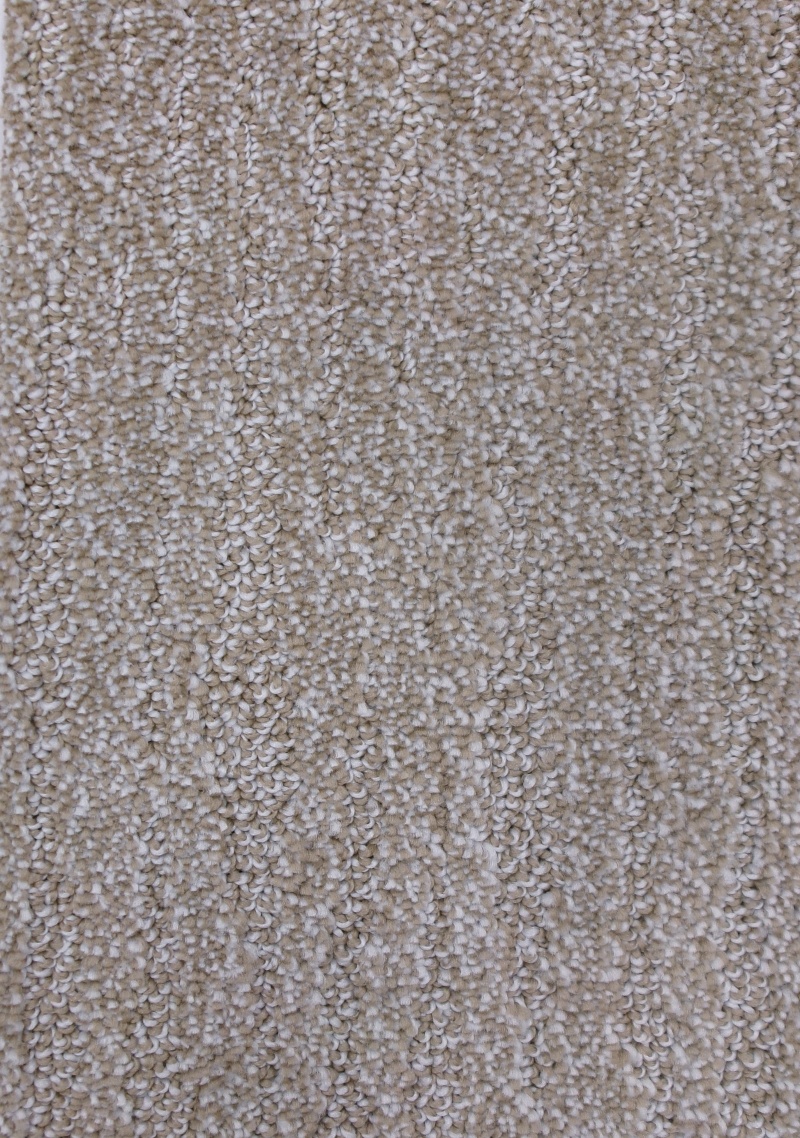 Bolero Ii Canvas Polyester Carpet - Loop