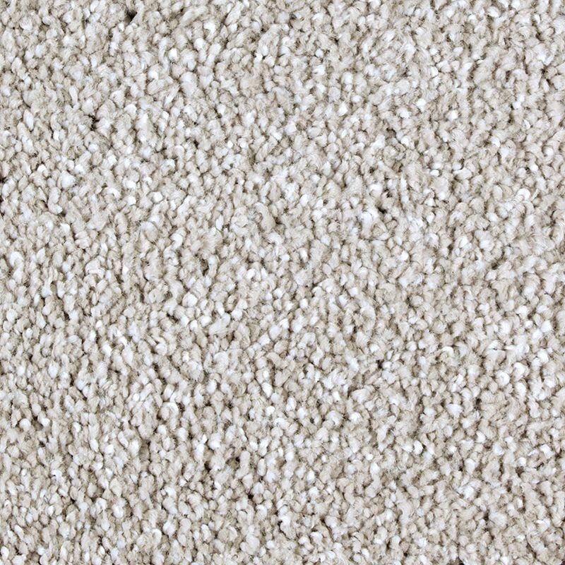 Exquisite Tones Windsor Castle Triexta Carpet - Textured