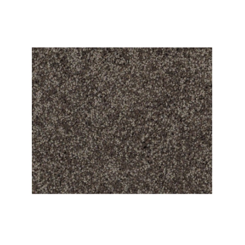 Butterfly Kisses III Leather Bound Nylon Carpet - Textured