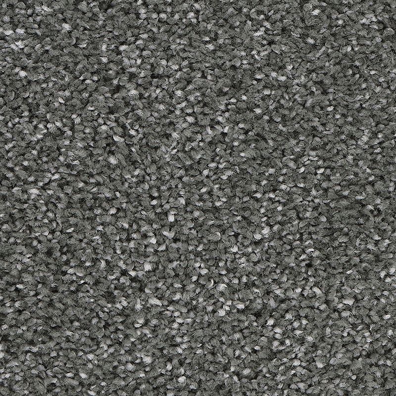 Delicate Tones I Alden Charcoal Triexta Carpet - Textured