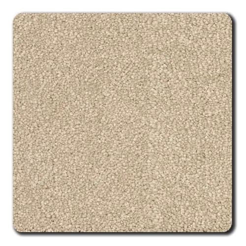 Denali Westwood Polyester Carpet - Textured